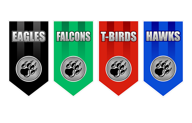 Sports Banners